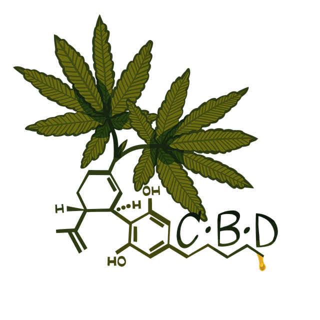 Exploring THCA Flower Effects and Benefits: A Scientific Perspective on Cannabis’ Non-Intoxicating Cannabinoid