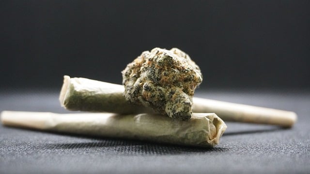 Unveiling THCA Buds: A Comprehensive Guide from Science to Benefits