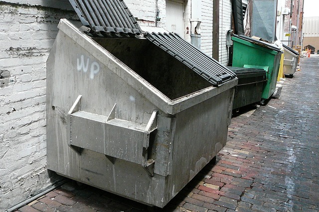 dumpster-640x480-10704793.jpeg