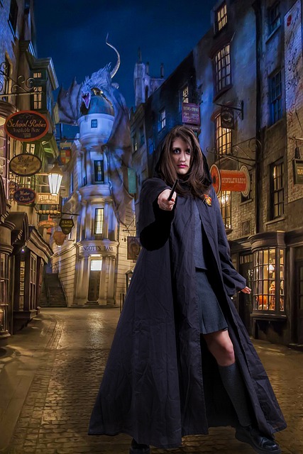 From Page to Screen: The Harry Potter and Hermione Granger Film Adaptations Journey