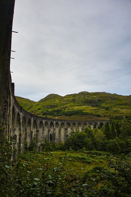 Harry Potter and Hermione Granger: A Magical Journey Through Friendship and Adventure