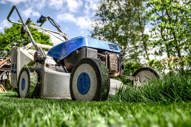 Optimizing Curb Appeal: The Advantages of Professional Residential Lawn Mowing Services for Homeowners