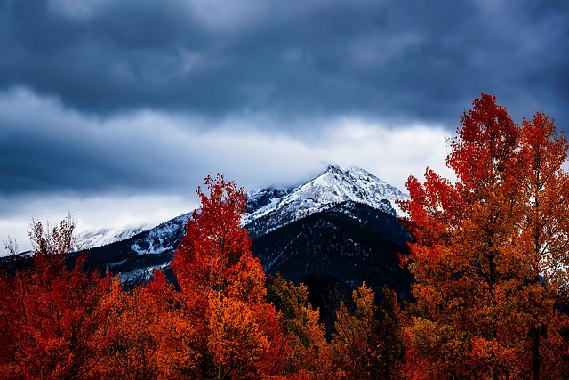 Denver at Dusk: A Culinary and Cultural Exploration of Colorado’s Nightlife