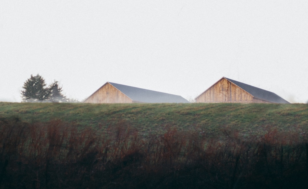 Slate Roofing Excellence: Sustainable & Stylish Options for Fort Collins Homes