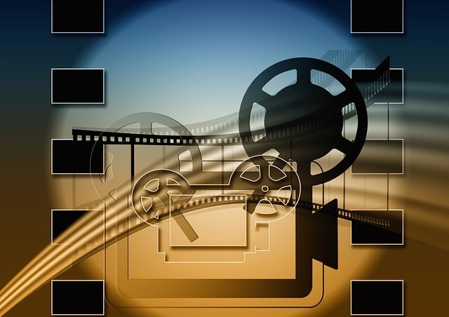 Mastering DivX: Flexibility in File Formats for Seamless Playback