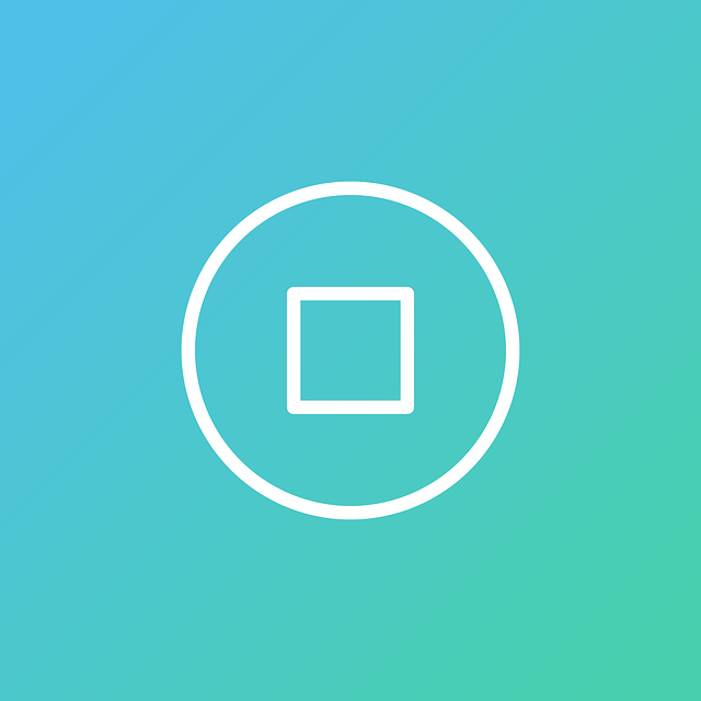 Mastering DivX: Optimizing Content Delivery for Linux Users