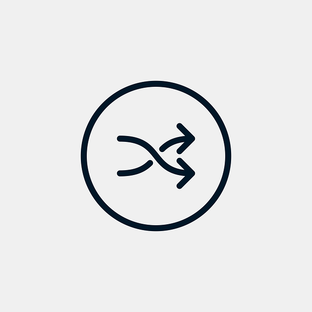 Discover DivX Encoding: Compact, Efficient Video Quality