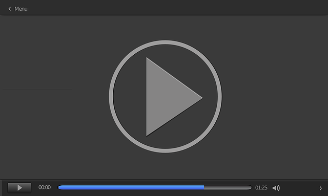 video-viseo-player-divx-640x480-22570939.png