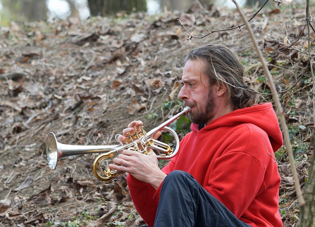 DivX Encoding: Unlocking Efficient Content Creation and Distribution