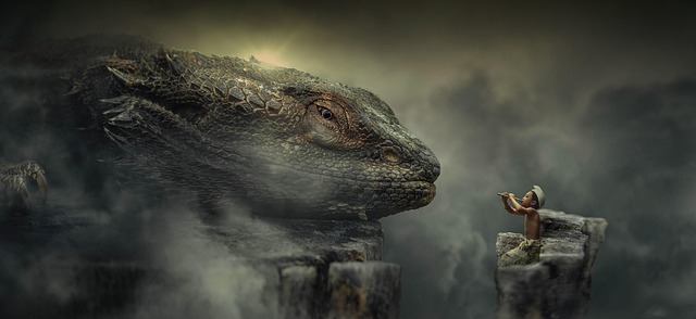 Video, viseo player, divx