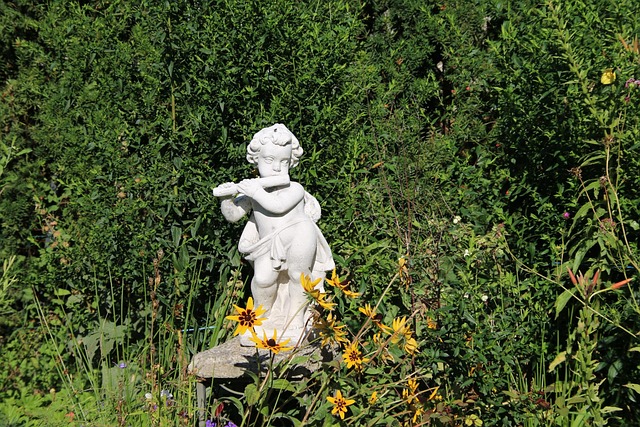 Video, viseo player, divx