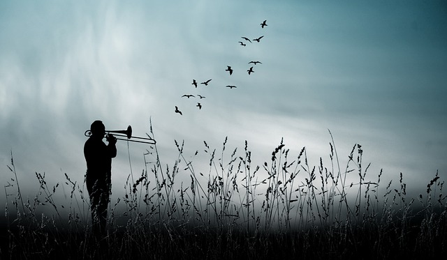 Video, viseo player, divx