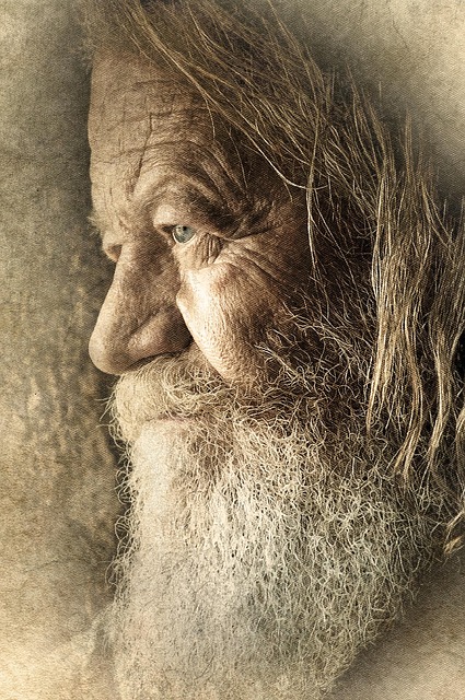 Elderly Companion Services: Relieving Caregivers’ Burdens