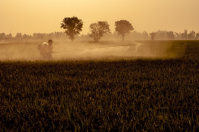 Lawn Care and Landscaping: Mastering Fertilization & Weed Control