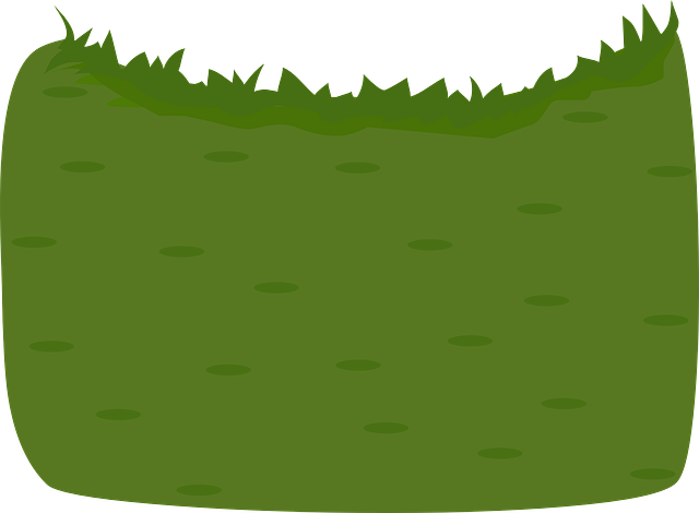 Irrigation System Installation: A Comprehensive Guide for Lawn Care and Landscaping