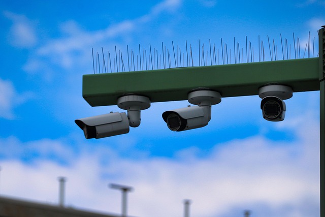 Video, viseo player, divx