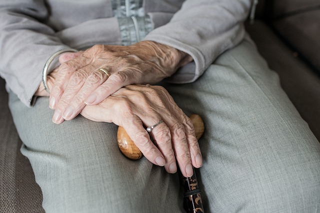 Elderly Companion Services at Home: Care, Comfort, and Safety