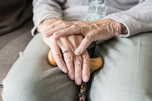 Elderly Companion Services: Benefits, Choosing Companions, and Home Care Tips