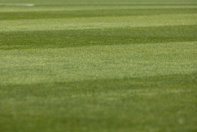 Lawn Care and Landscaping: Transforming Residential Outdoor Spaces