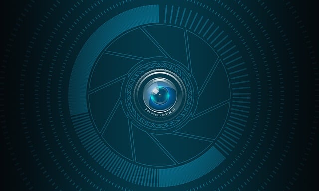 DivX: Empowering Creators with Free Video Players for Top-Tier Content