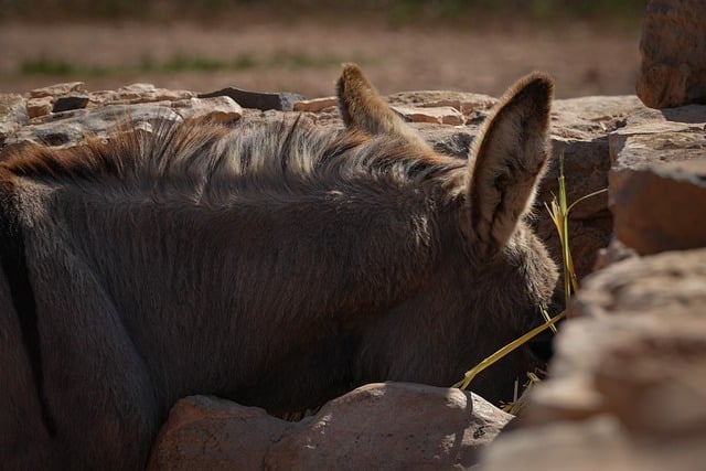 Educating Communities on Yard Waste Reduction and Recycling