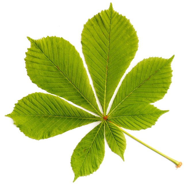 Affordable Garage Flooring Buckeye