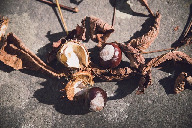 Affordable Garage Flooring Buckeye