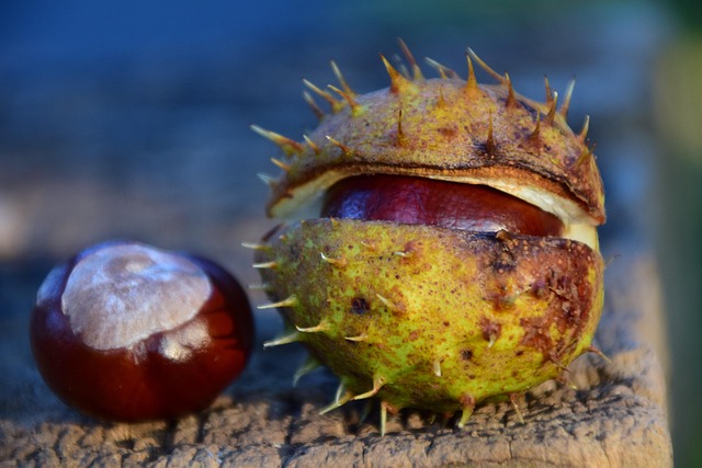 Affordable Garage Flooring Buckeye