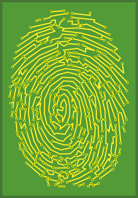 Chip Broadcast Garage Floor