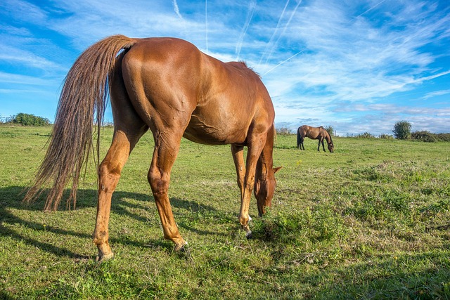 Epoxy Floor Installers Near Me