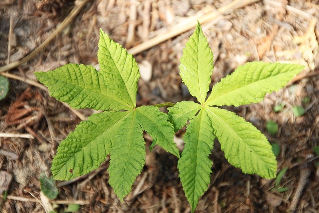 Garage Floor Coating Buckeye