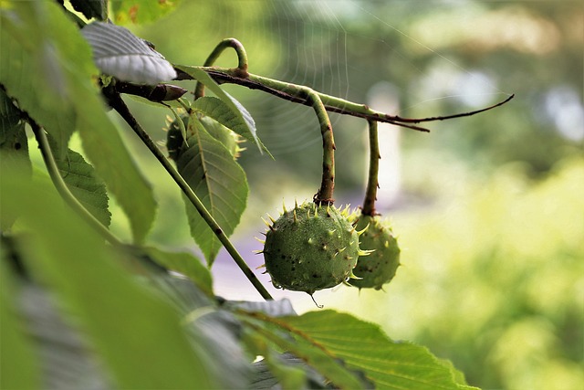 Garage Floor Coating Buckeye