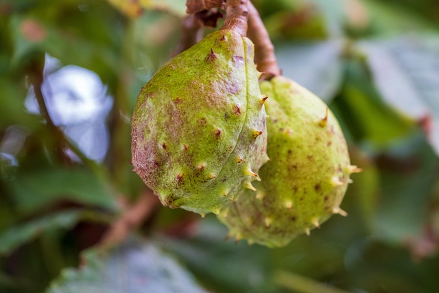 Garage Floor Coating Buckeye