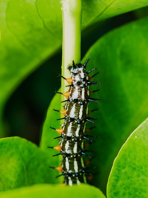 Top Garage Floor Coating Choices in Buckeye: Installation and Care