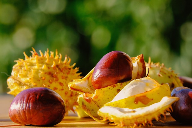 Garage Floor Coating Buckeye
