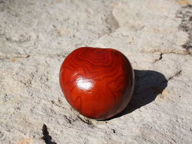 Garage Floor Coating Buckeye