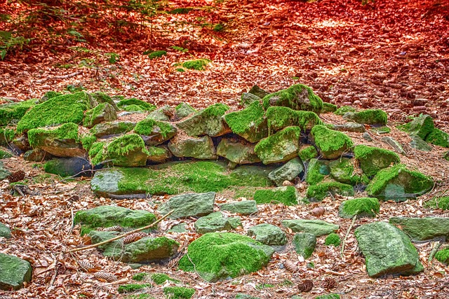 Garage Floor Coating Lifetime Warranty