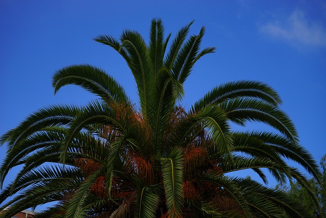 Garage Floor Coating Phoenix