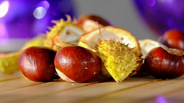 Garage Floor Installers Buckeye