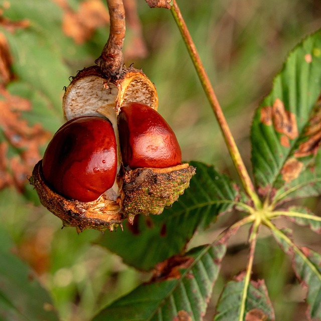 Unleash Buckeye’s Garage Floor Potential with Expert Installers