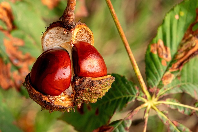 Garage Floor Installers Buckeye