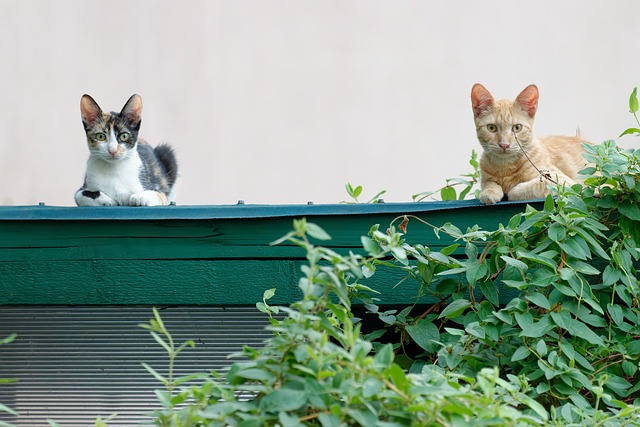 Metallic Epoxy Garage Floor